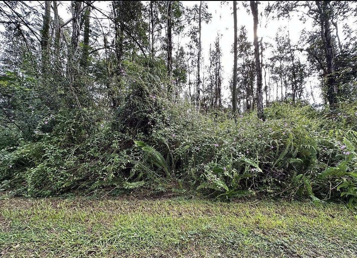 0.19 Acres of Residential Land for Sale in Pahoa, Hawaii