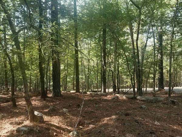 0.32 Acres of Residential Land for Sale in Hot Springs Village, Arkansas