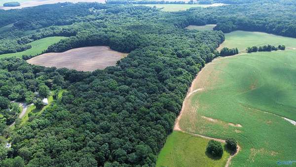 23.3 Acres of Recreational & Residential Land for Sale in Athens, Alabama