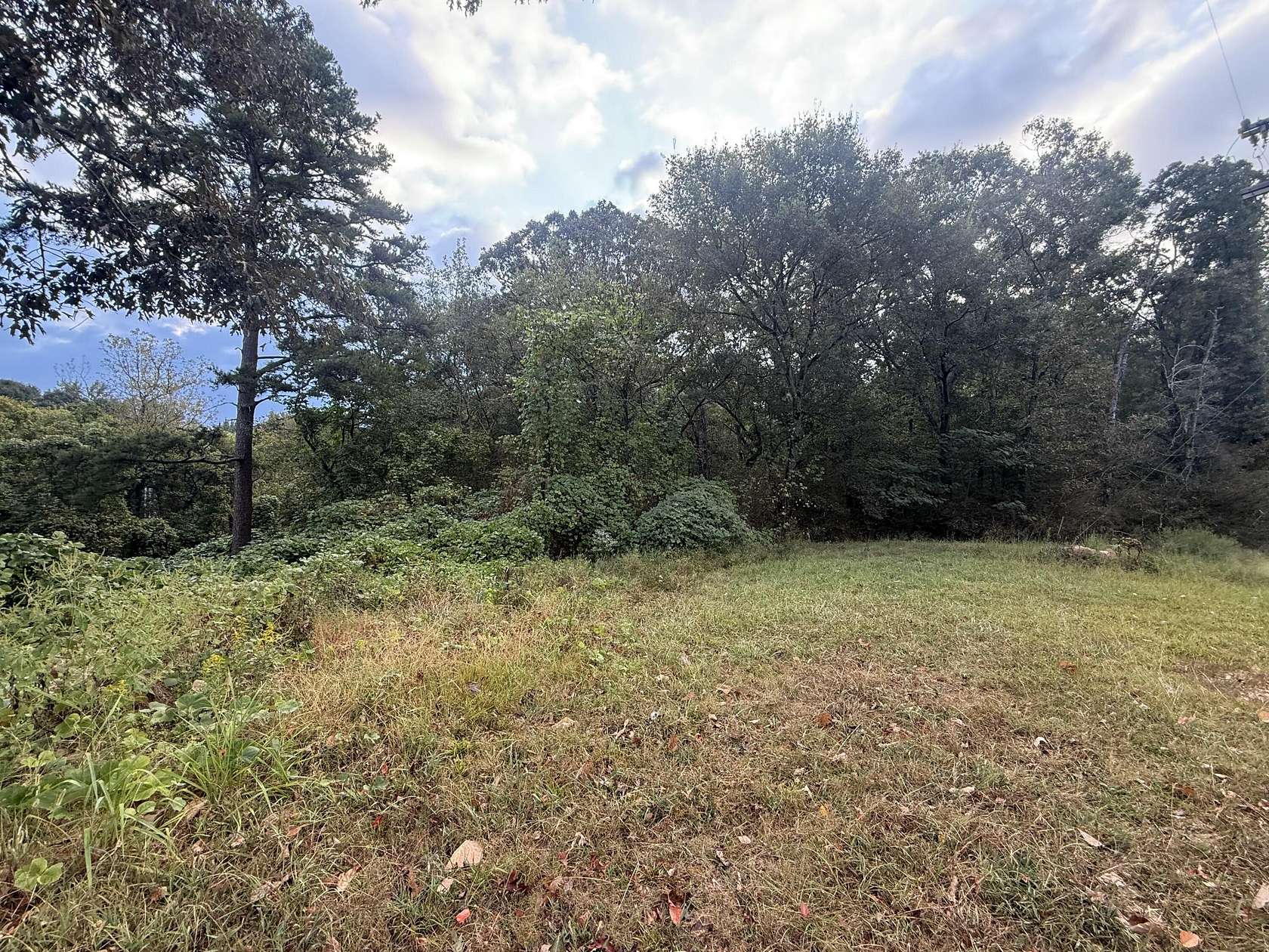 0.96 Acres of Residential Land for Sale in Bridgeport, Alabama