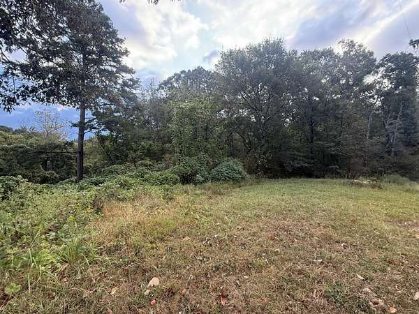 0.96 Acres of Residential Land for Sale in Bridgeport, Alabama