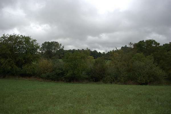 41.6 Acres of Recreational & Residential Land for Sale in Ann Arbor, Michigan