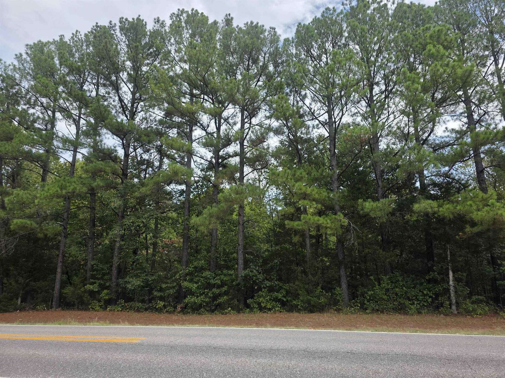 0.31 Acres of Residential Land for Sale in Cherokee Village, Arkansas