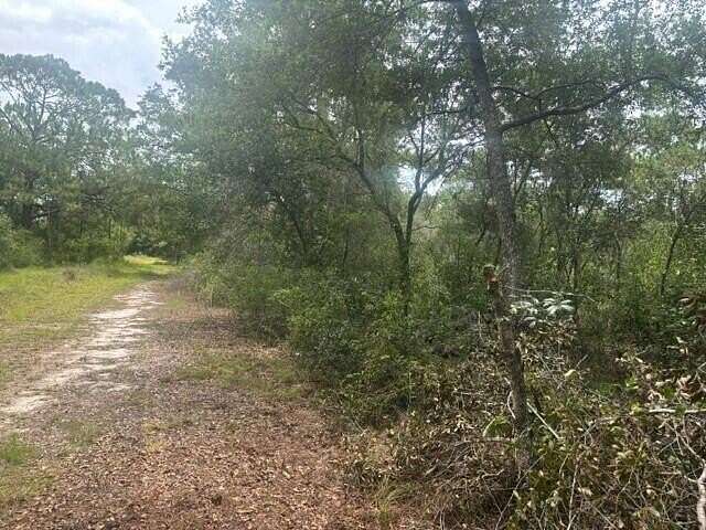 0.5 Acres of Residential Land for Sale in Avon Park, Florida