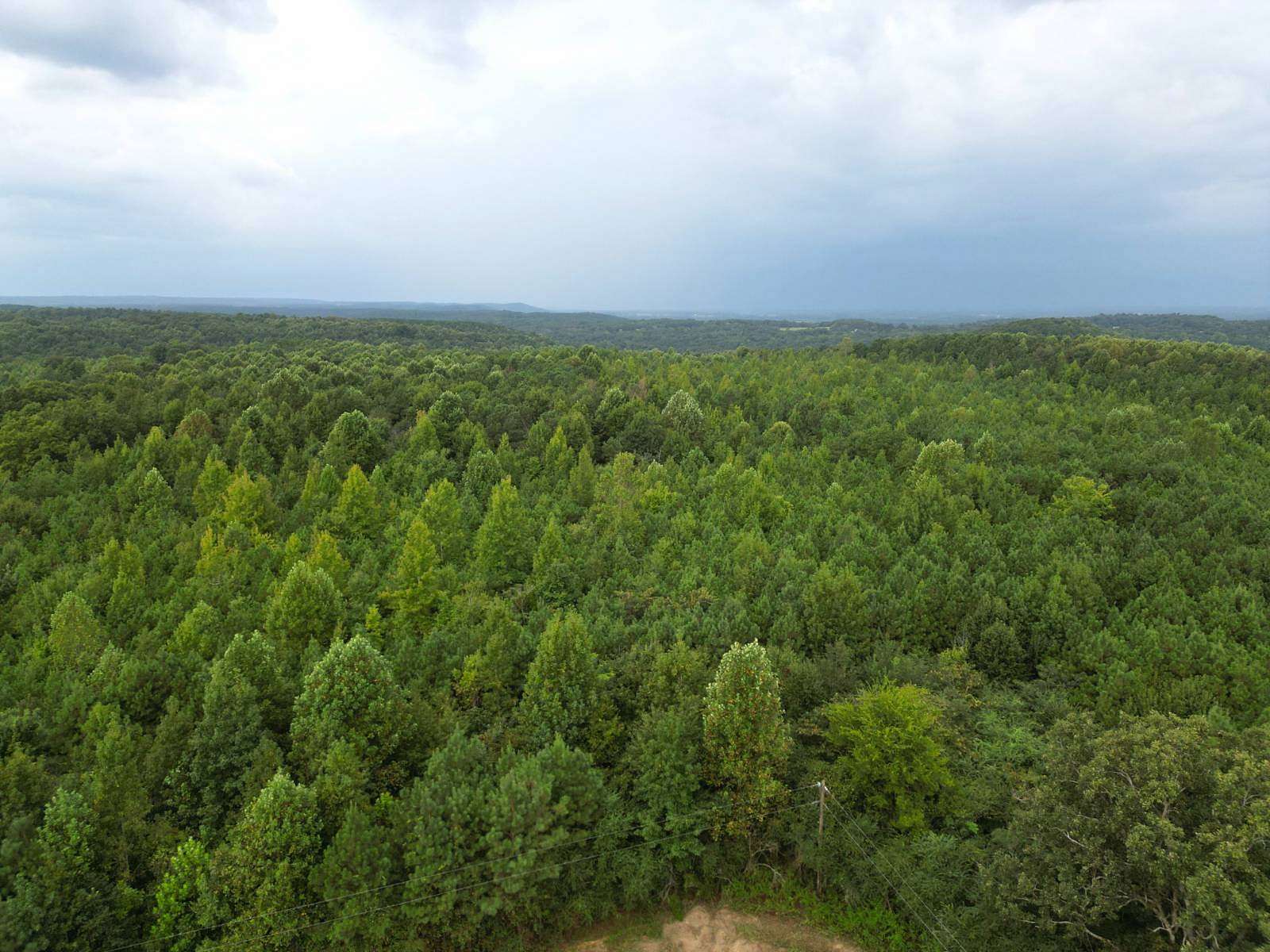 134 Acres of Land for Sale in Falkville, Alabama