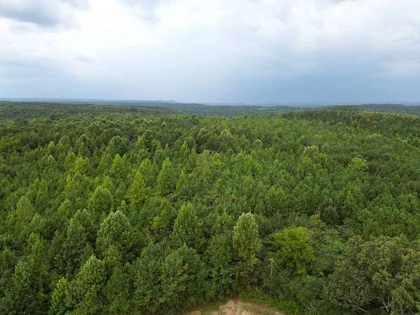134 Acres of Land for Sale in Falkville, Alabama