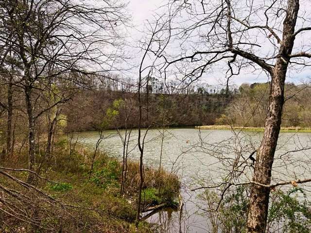 109 Acres of Recreational Land for Sale in Adger, Alabama