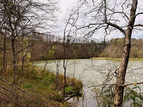 109 Acres of Recreational Land for Sale in Adger, Alabama