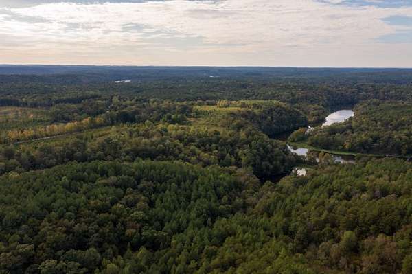 109 Acres of Recreational Land for Sale in Adger, Alabama
