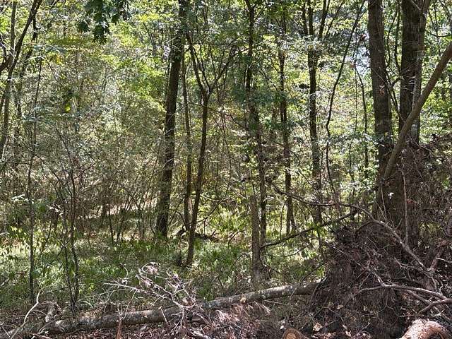 11.8 Acres of Recreational & Residential Land for Sale in Adger, Alabama