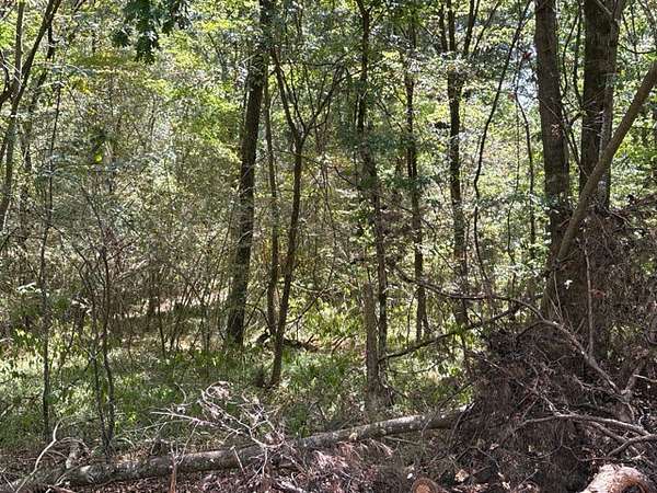11.8 Acres of Recreational & Residential Land for Sale in Adger, Alabama
