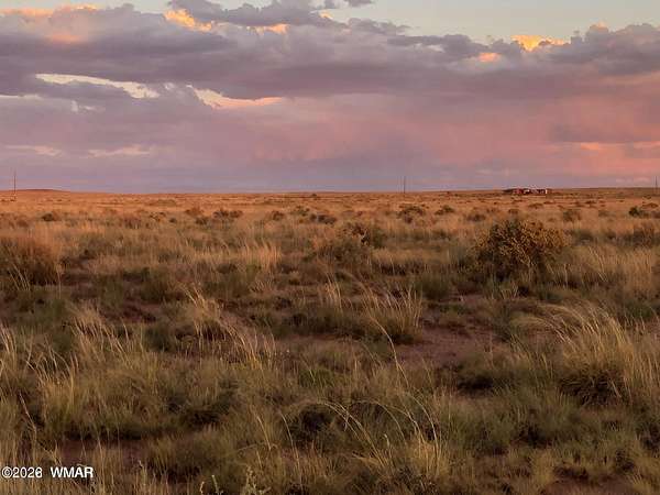 40 Acres of Land for Sale in Woodruff, Arizona