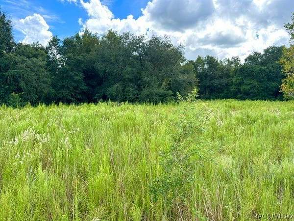 0.23 Acres of Residential Land for Sale in Inverness, Florida