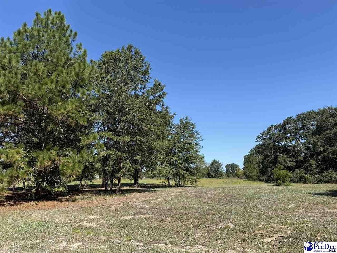 1 Acre of Residential Land for Sale in Dillon, South Carolina