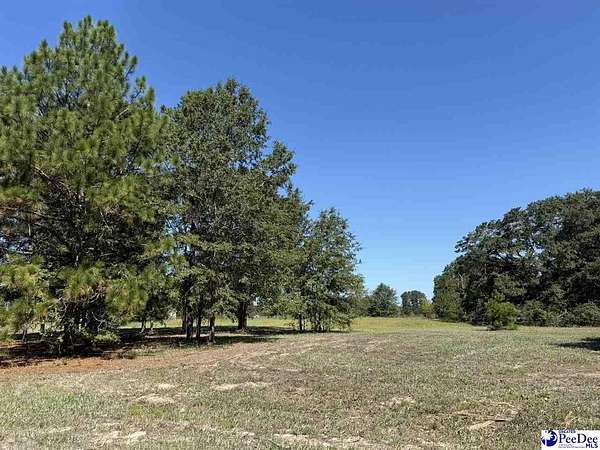 1 Acre of Residential Land for Sale in Dillon, South Carolina