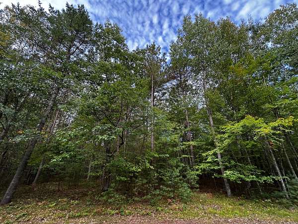 6.33 Acres of Residential Land for Sale in Minocqua, Wisconsin