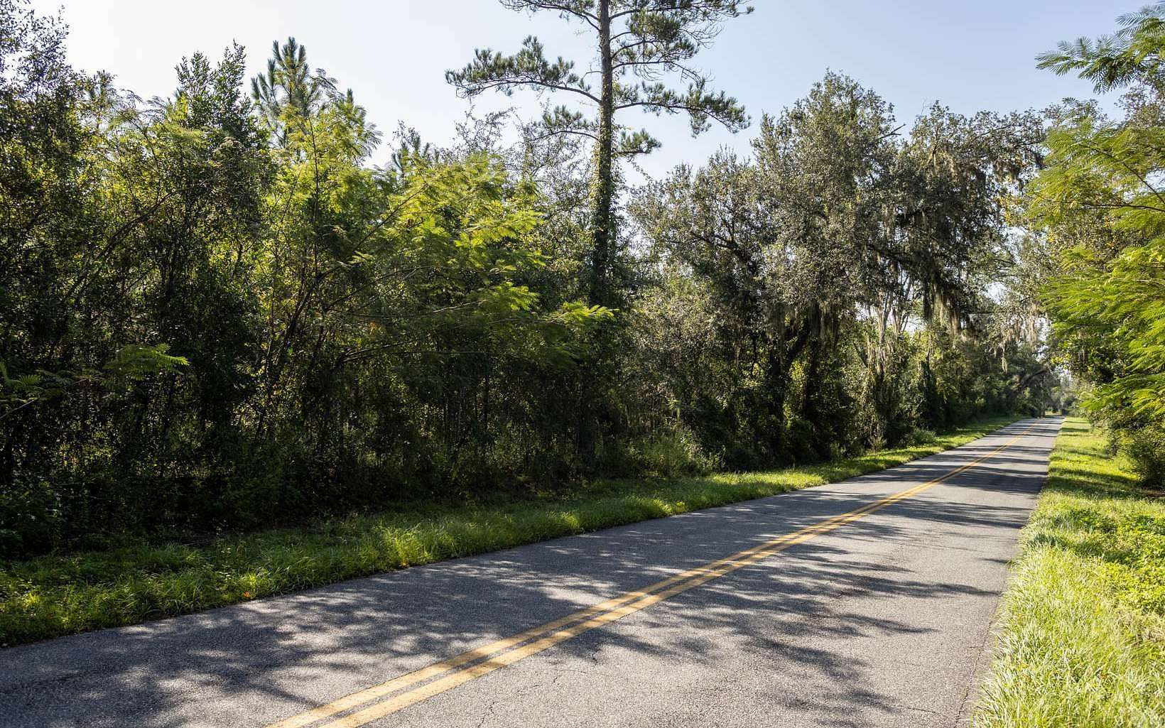 10 Acres of Residential Land for Sale in Live Oak, Florida