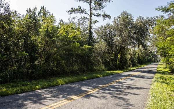 10 Acres of Residential Land for Sale in Live Oak, Florida