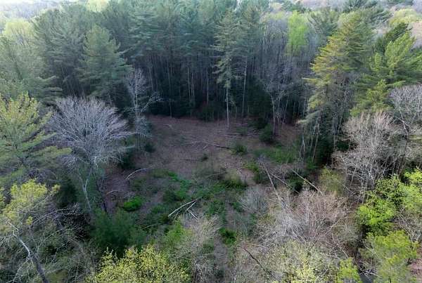0.2 Acres of Residential Land for Sale in Wolverine, Michigan