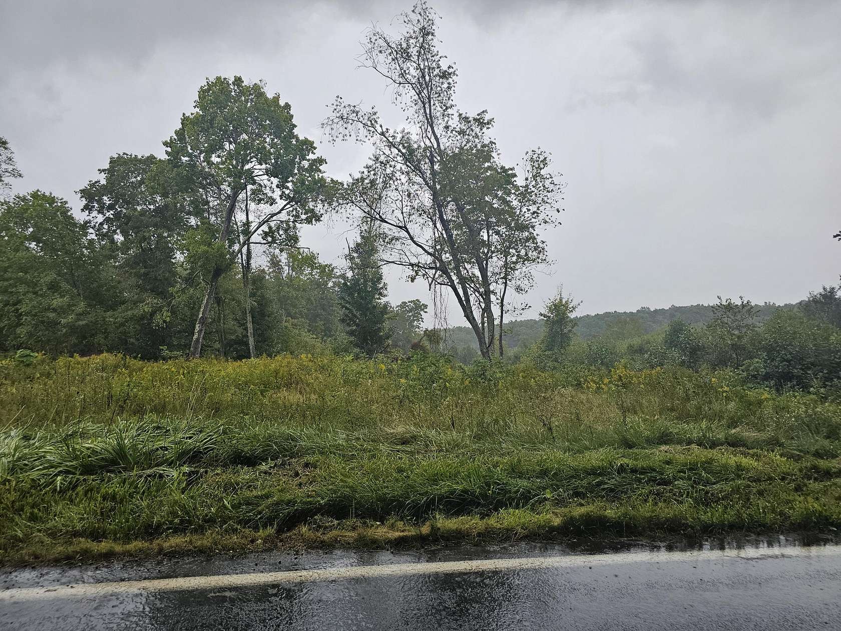 56.9 Acres of Recreational & Residential Land for Sale in Danese, West Virginia