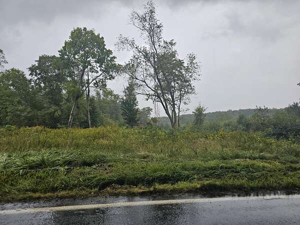 56.9 Acres of Recreational & Residential Land for Sale in Danese, West Virginia
