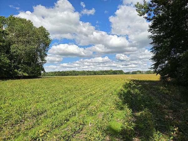 78.8 Acres of Land for Sale in Cedar Springs, Michigan