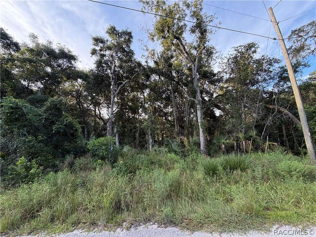 0.57 Acres of Residential Land for Sale in Inverness, Florida