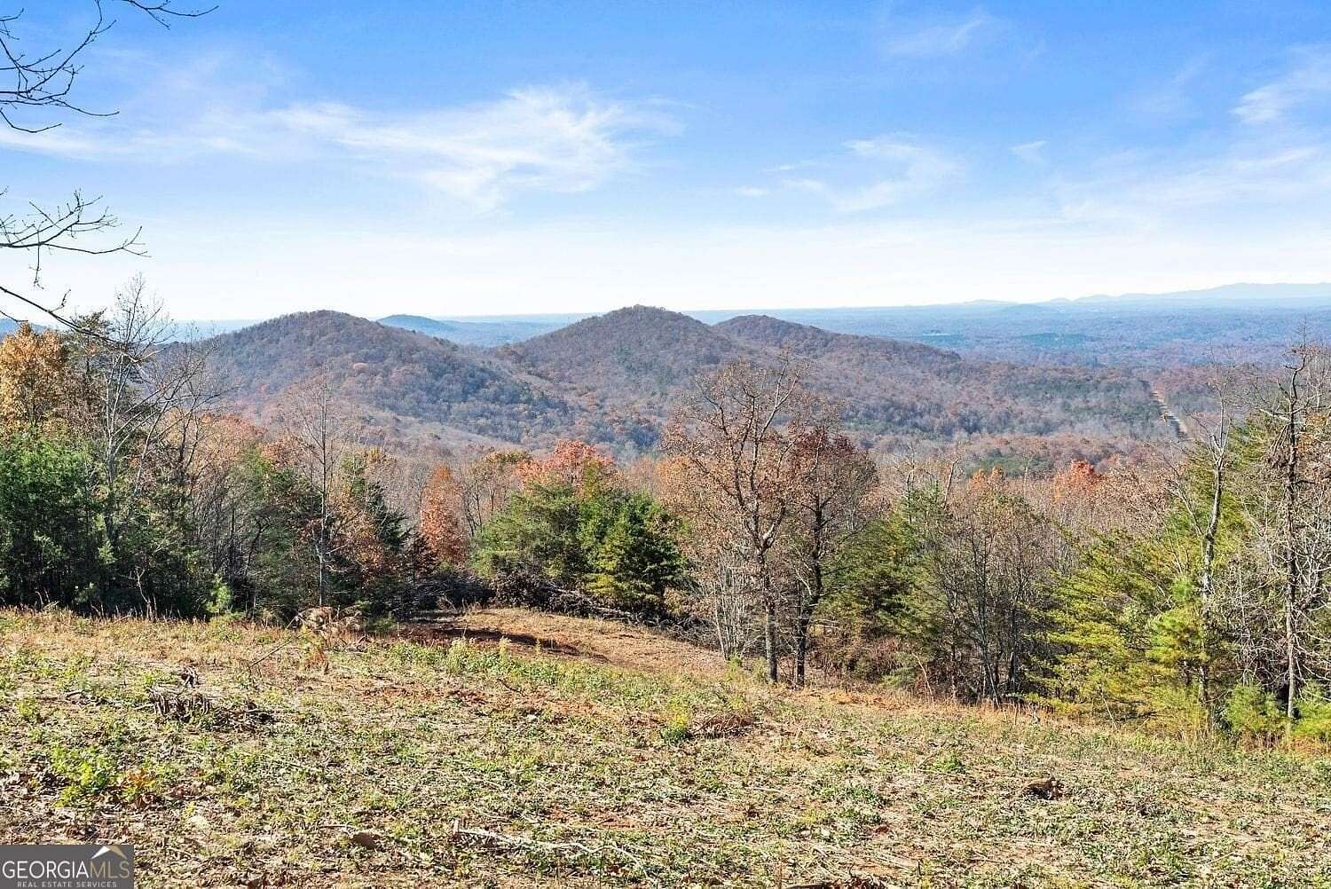 85.6 Acres of Land for Sale in Cleveland, Georgia