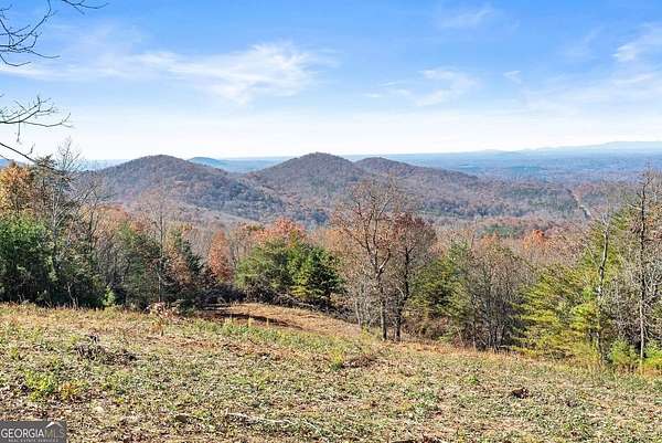 85.6 Acres of Land for Sale in Cleveland, Georgia