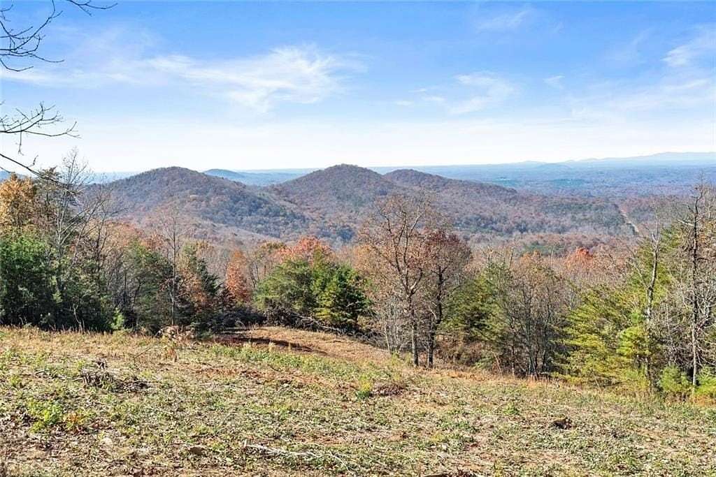 85.6 Acres of Land for Sale in Cleveland, Georgia