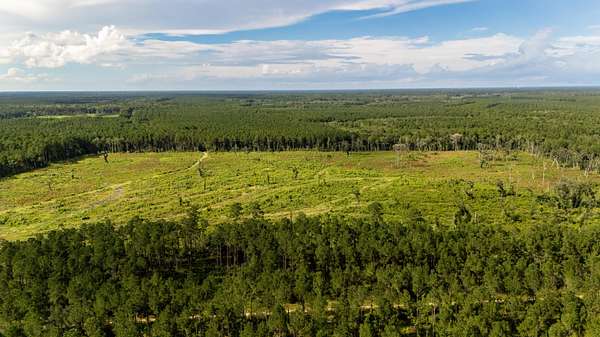 79.5 Acres of Land for Sale in Adams Run, South Carolina