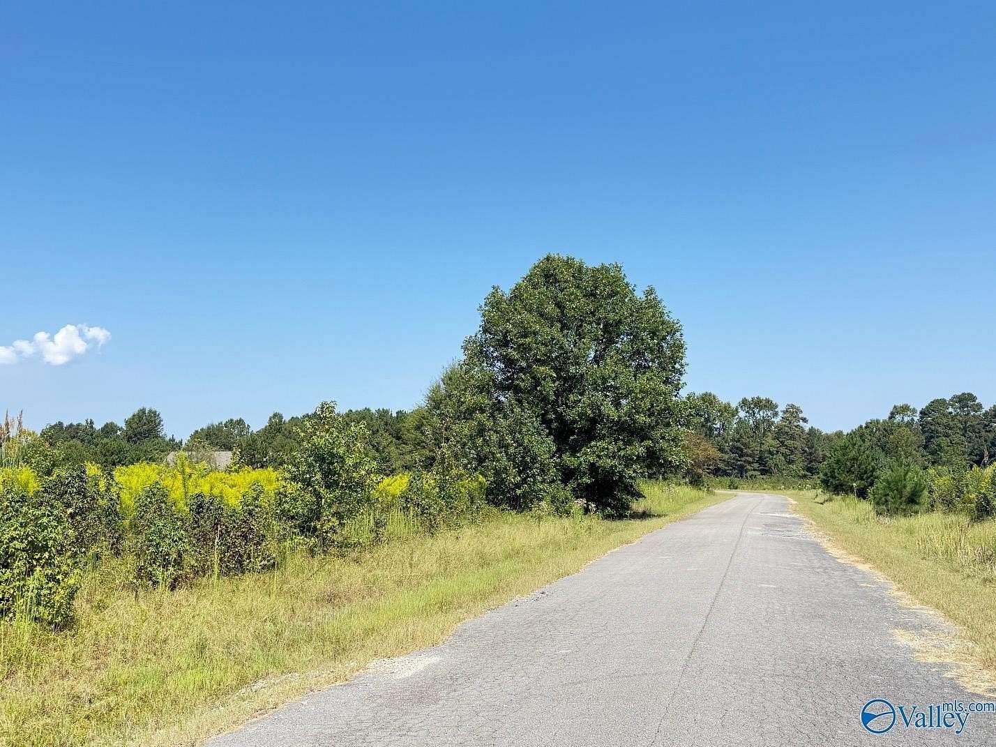 1 Acre of Residential Land for Sale in Moulton, Alabama