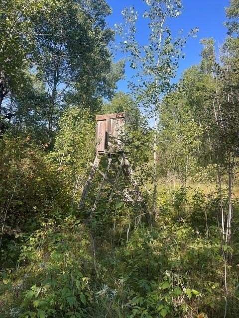 20 Acres of Recreational Land for Sale in Menahga, Minnesota