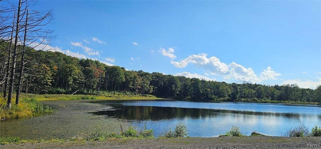 10 Acres of Recreational & Residential Land for Sale in Richford, New York