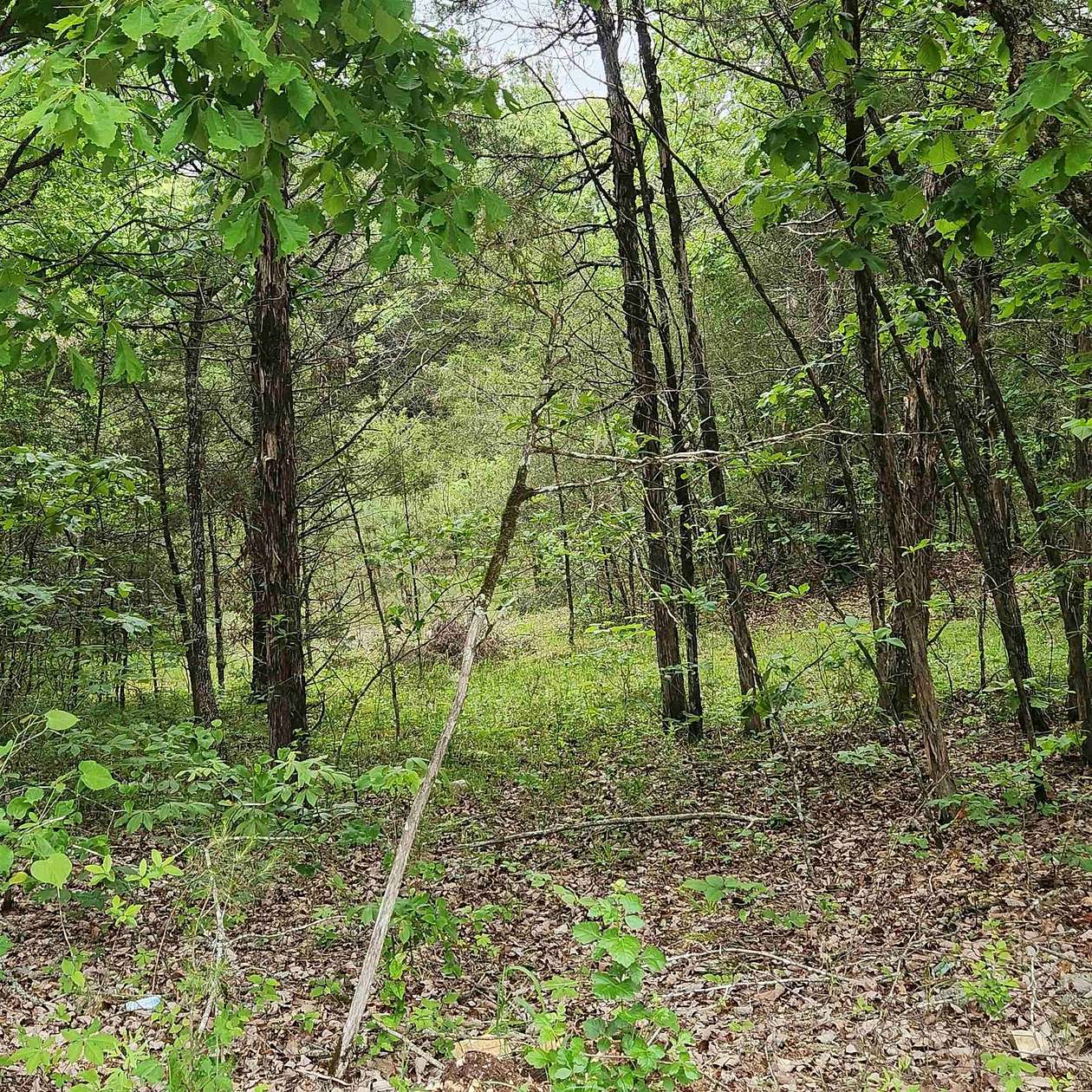 30 Acres of Recreational Land for Sale in Evening Shade, Arkansas
