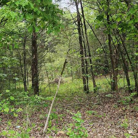 30 Acres of Recreational Land for Sale in Evening Shade, Arkansas
