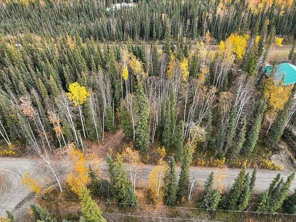 1 Acre of Residential Land for Sale in North Pole, Alaska