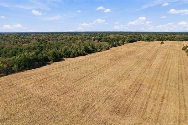 26.6 Acres of Land for Sale in Ivanhoe, Texas