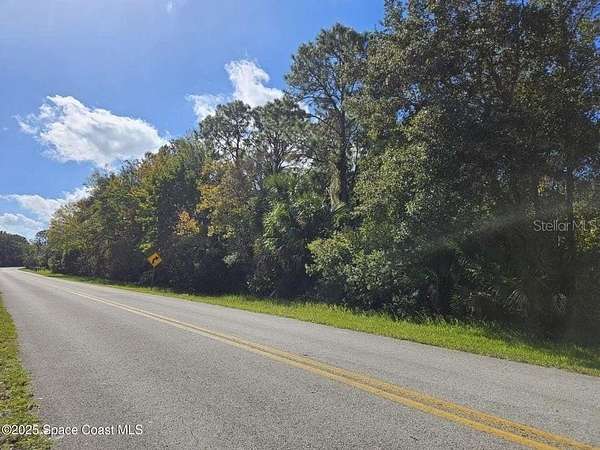 10 Acres of Recreational & Residential Land for Sale in Edgewater, Florida