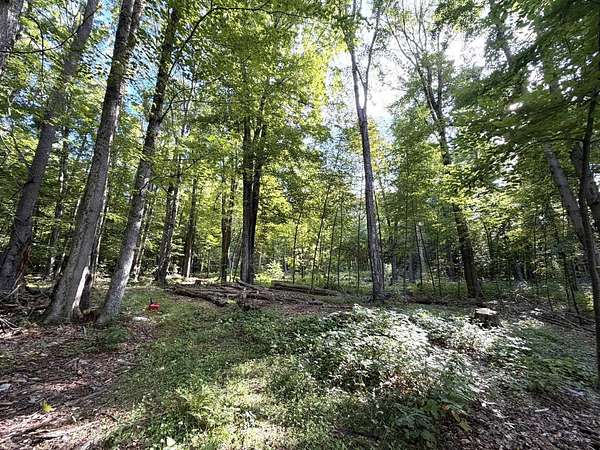 10 Acres of Recreational & Residential Land for Sale in Pownal, Vermont