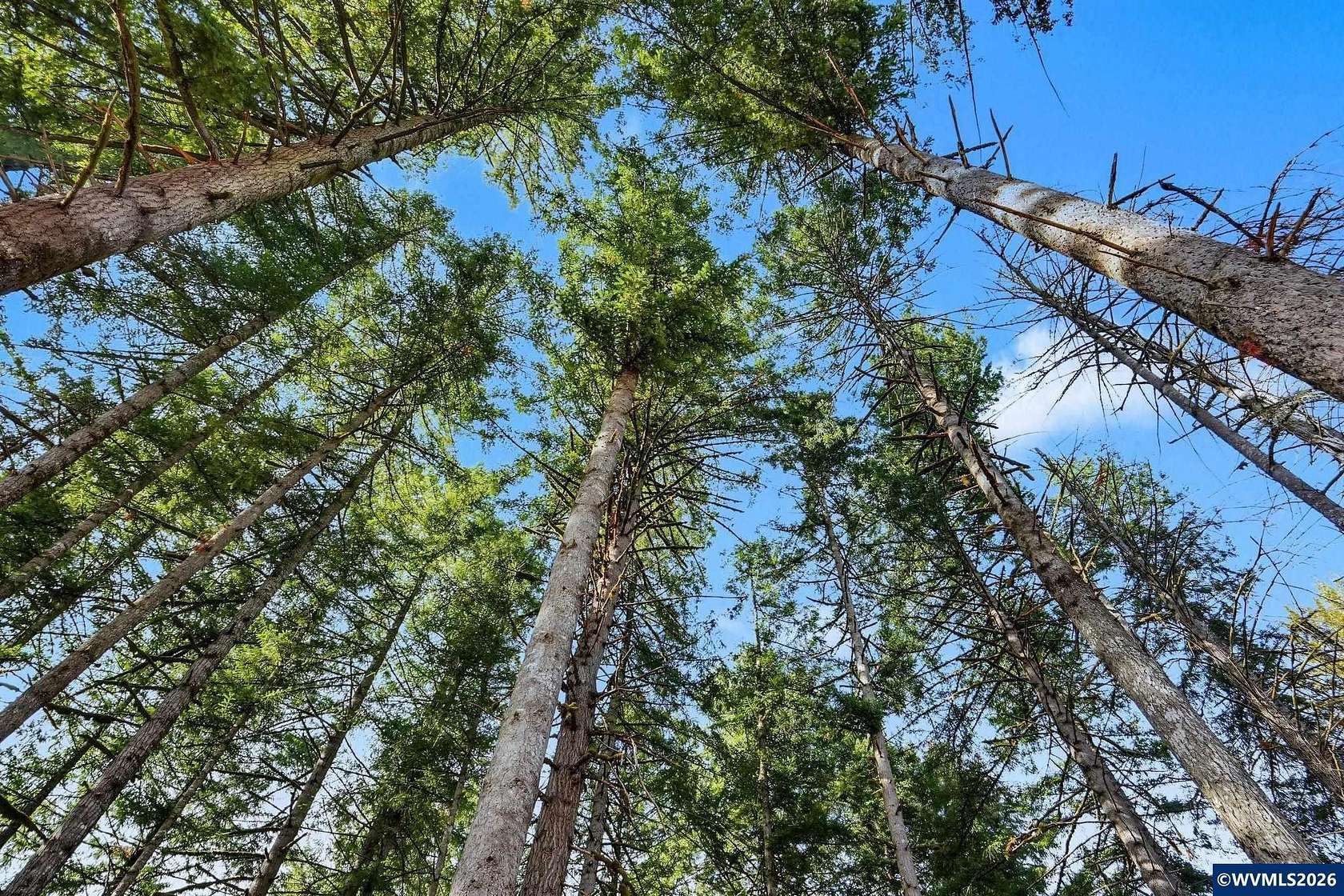 1.76 Acres of Land for Sale in Lyons, Oregon