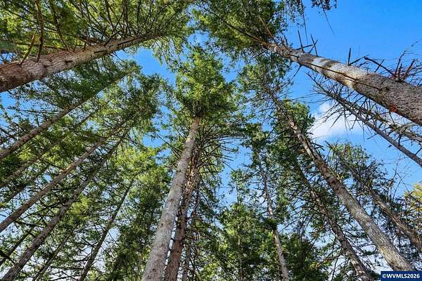 1.76 Acres of Land for Sale in Lyons, Oregon