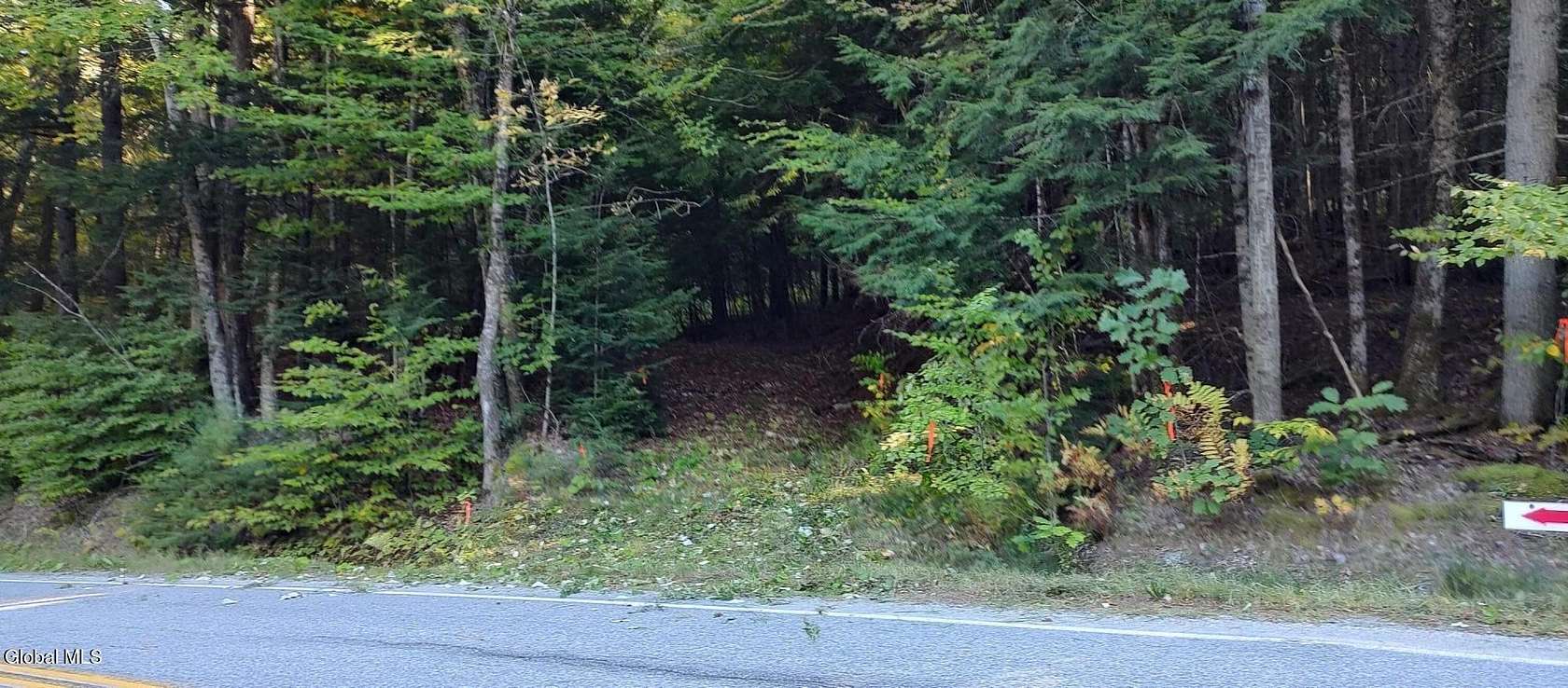 10.8 Acres of Land for Sale in Schroon Lake, New York