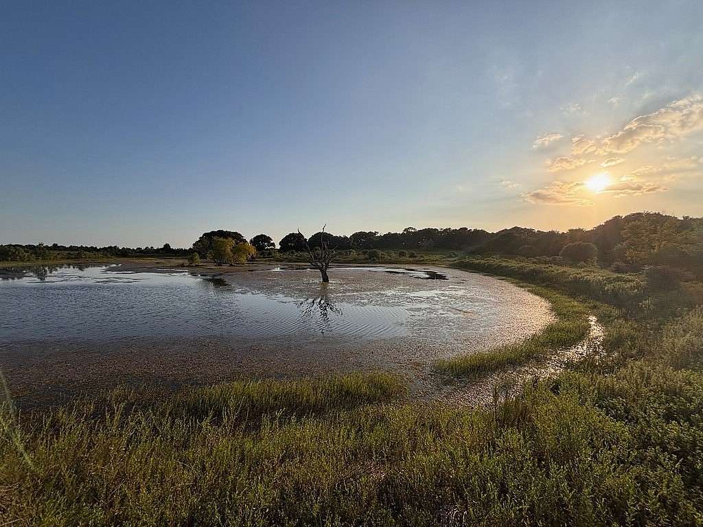 123 Acres of Land with Home for Sale in Cat Spring, Texas