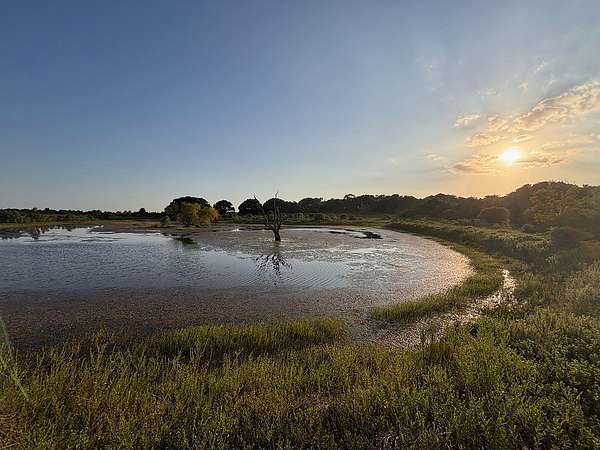 123 Acres of Land with Home for Sale in Cat Spring, Texas