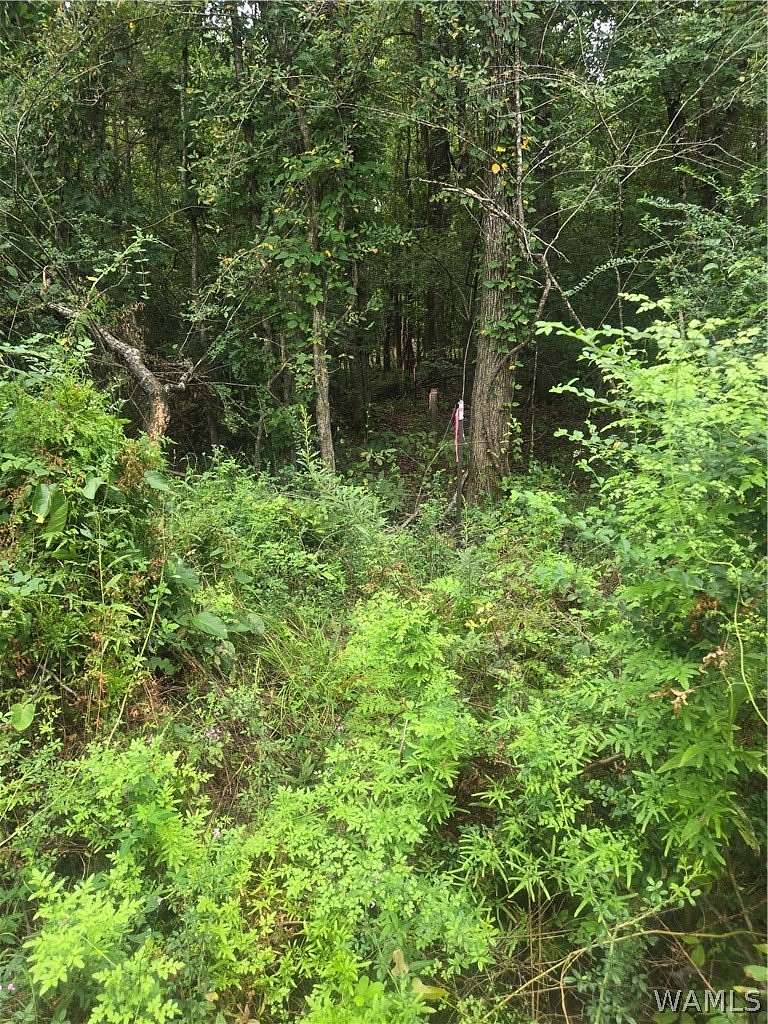 15 Acres of Land for Sale in Myrtlewood, Alabama