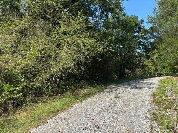 1.23 Acres of Land for Sale in Coker, Alabama