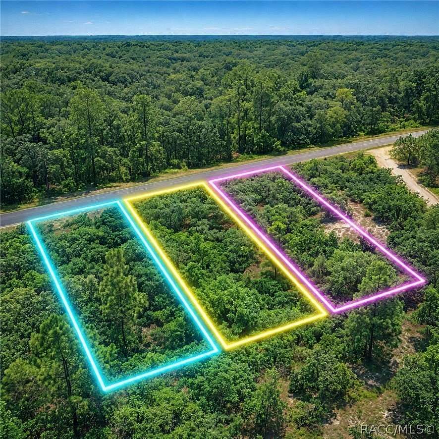 3 Acres of Residential Land for Sale in Dunnellon, Florida