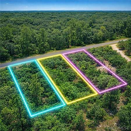 3 Acres of Residential Land for Sale in Dunnellon, Florida