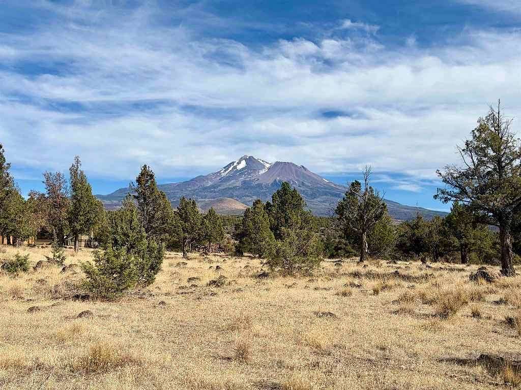 0.25 Acres of Residential Land for Sale in Weed, California